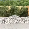 Image de Paniers À Gabions Arqués 10 Pcs 200x50x60/80 Cm Fer Galvanisé Vidaxl
