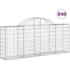 Image de Paniers À Gabions Arqués 40 Pcs 200x30x80/100 Cm Fer Galvanisé Vidaxl
