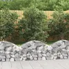 Image de Panier De Gabions Arqué 100x30x40/60 Cm Fer Galvanisé Vidaxl