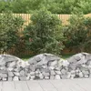 Image de vidaXL Panier de Gabions Arqué Cage à Gabion Mur de Gabion Panier à Pierre Gabion pour Pierre Jardin Patio Extérieur 153422