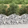 Image de Panier De Gabions Arqué 100x30x60/80 Cm Fer Galvanisé Vidaxl