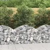 Image de vidaXL Panier de Gabions Arqué Cage à Gabion Mur de Gabion Panier à Pierre Gabion pour Pierre Jardin Patio Extérieur 153423