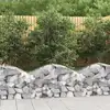 Image de Panier De Gabions Arqué 100x50x40/60 Cm Fer Galvanisé Vidaxl