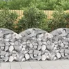 Image de vidaXL Panier de Gabions Arqué Cage à Gabion Mur de Gabion Panier à Pierre Gabion pour Pierre Jardin Patio Extérieur 153434