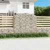 Image de vidaXL Panier de Gabions Arqué Cage à Gabion Mur de Gabion Panier à Pierre Gabion pour Pierre Jardin Patio Extérieur 153479