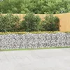 Image de Lit Surélevé À Gabions Arqué 800x50x100 Cm Fer Galvanisé Vidaxl