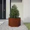 Image de Jardinière Rouillé 60x60x45 Cm Acier Corten Vidaxl