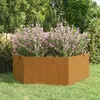 Image de vidaXL Jardinière Lit Surélevé Bac à Fleurs Pot de Plantes Boîte à Fleurs Jardin Patio Terrasse Rouillé 138x120x45 cm 823677