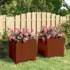 Image de Jardinières Avec Pieds 2 Pcs Rouillé 30x30x30 Cm Acier Corten Vidaxl