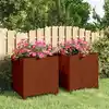 Image de Jardinières Avec Pieds 2 Pcs Rouillé 40x40x40 Cm Acier Corten Vidaxl