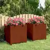 Image de Jardinières Avec Pieds 2 Pcs Rouillé 50x50x50 Cm Acier Corten Vidaxl