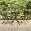 Image de Chaises De Bistrot Pliantes Lot De 2 Résine Tressée Et Acier Vidaxl