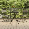 Image de 319988 vidaXL Chaises de bistrot pliantes 2 pcs Gris Résine tressée et acier