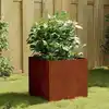 Image de Jardinière 40x41x40 Cm Acier Corten Vidaxl
