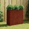 Image de vidaXL Jardinière 80x40x80 cm acier corten 824525