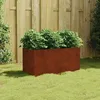 Image de vidaXL Jardinière 80x40x40 cm acier corten 824530