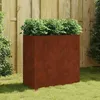 Image de vidaXL Jardinière 40x80x80 cm acier corten 824536