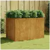 Image de Lit surélevé de jardin 120x80x80 cm acier corten