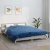 Image de Couverture Lestée Bleu 200x230 Cm 9 Kg Tissu Vidaxl