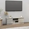Image de vidaXL Meuble TV avec porte Gris béton 102x30x36 cm 823354