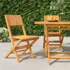 Image de Chaises De Jardin Pliantes Lot De 2 47x61x90cm Bois Massif Teck Vidaxl