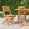 Image de vidaXL Chaises de jardin pliantes lot de 2 47x62x90cm bois massif teck 362761