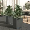 Image de Jardinières 2 Pcs Noir 30x30x37 Cm Polypropylène Vidaxl