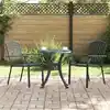 Image de Chaise De Jardin 2 Pcs Anthracite 56 X 65 X 89 Cm Acier Vidaxl