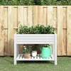 Image de Lit Surélevé De Jardin Blanc 110x45x79 Cm Polypropylène Vidaxl