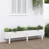 Image de Lit Surélevé De Jardin Blanc 160x30x38 Cm Bois De Pin Massif Vidaxl