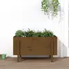 Image de Lit Surélevé De Jardin Brun Miel 101x50x57cm Bois De Pin Massif Vidaxl