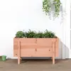 Image de Lit Surélevé De Jardin 101x50x57 Cm Bois Douglas Massif Vidaxl