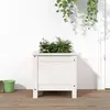 Image de Jardinière Blanc 40x40x39 Cm Bois Massif De Pin Vidaxl