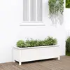 Image de Lit Surélevé De Jardin Blanc 119,5x40x39 Cm Bois De Pin Massif Vidaxl