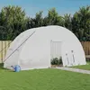 Image de Serre Avec Cadre En Acier Blanc 12 M² 6x2x2,85 M Vidaxl