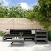 Image de vidaXL Salon de Jardin 6 pcs Canapés avec Repose-pied Ensemble de Meubles avec Table Basse Patio Terrasse Rustique Gris 3186468