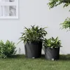 Image de Jardinière Et Intérieur Amovible Anthracite 35 /37,5 L Rotin Pp Vidaxl