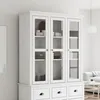 Image de vidaXL Armoire avec portes vitrées BODO blanc bois de pin massif 355077