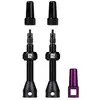 Image de Kit de valves Dynamic 80 mm (2 unités)