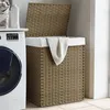 Image de Panier À Linge Avec Couvercle 46x33x60 Cm Résine Tressée Vidaxl