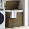 Image de Panier À Linge Avec 2 Sections 53x35x57 Cm Résine Tressée Vidaxl
