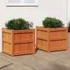 Image de Jardinières 2 Pcs Cire Marron Bois De Pin Massif Vidaxl
