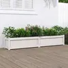 Image de Jardinière Blanc 180x31x31 Cm Bois De Pin Massif Vidaxl