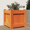 Image de Jardinière Cire Marron 31x31x31 Cm Bois De Pin Massif Vidaxl