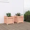 Image de Jardinières 2 Pcs Bois Massif Douglas Vidaxl