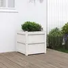 Image de Jardinière Blanc 50x50x50 Cm Bois De Pin Massif Vidaxl