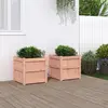 Image de Jardinières 2 Pcs Bois Massif Douglas Vidaxl
