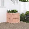 Image de Jardinière 60x60x60 Cm Bois Massif Douglas Vidaxl