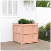 Image de Jardinière 70x70x70 cm bois massif de douglas