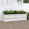 Image de Jardinière Blanc 180x50x50 Cm Bois De Pin Massif Vidaxl
